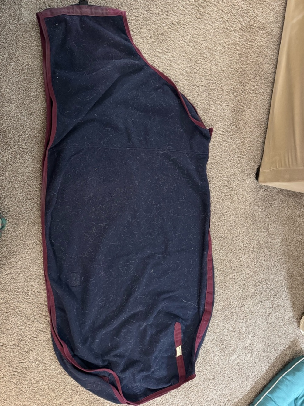 Navy Blue Fleece Horse Cooler with Burgundy Trim
